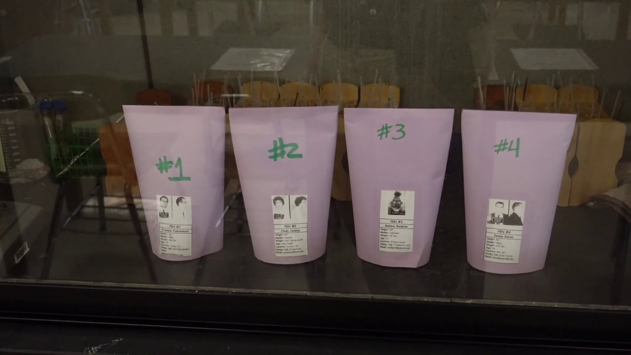 Lab 16 - CSI: Washingtonville (A/E Chem Virtual Lab)