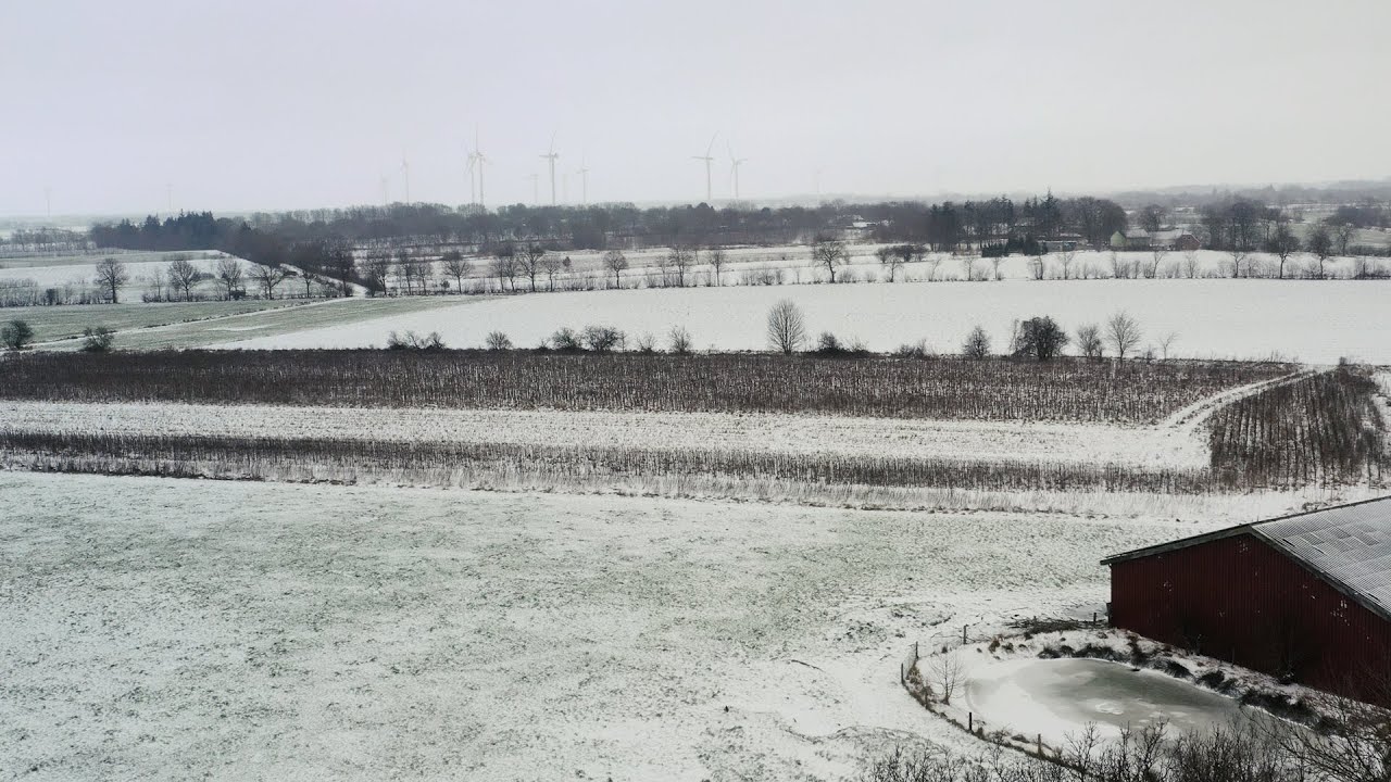 Dauerfrost in Norddeutschland: So kommt die Landwirtschaft durch den Winter