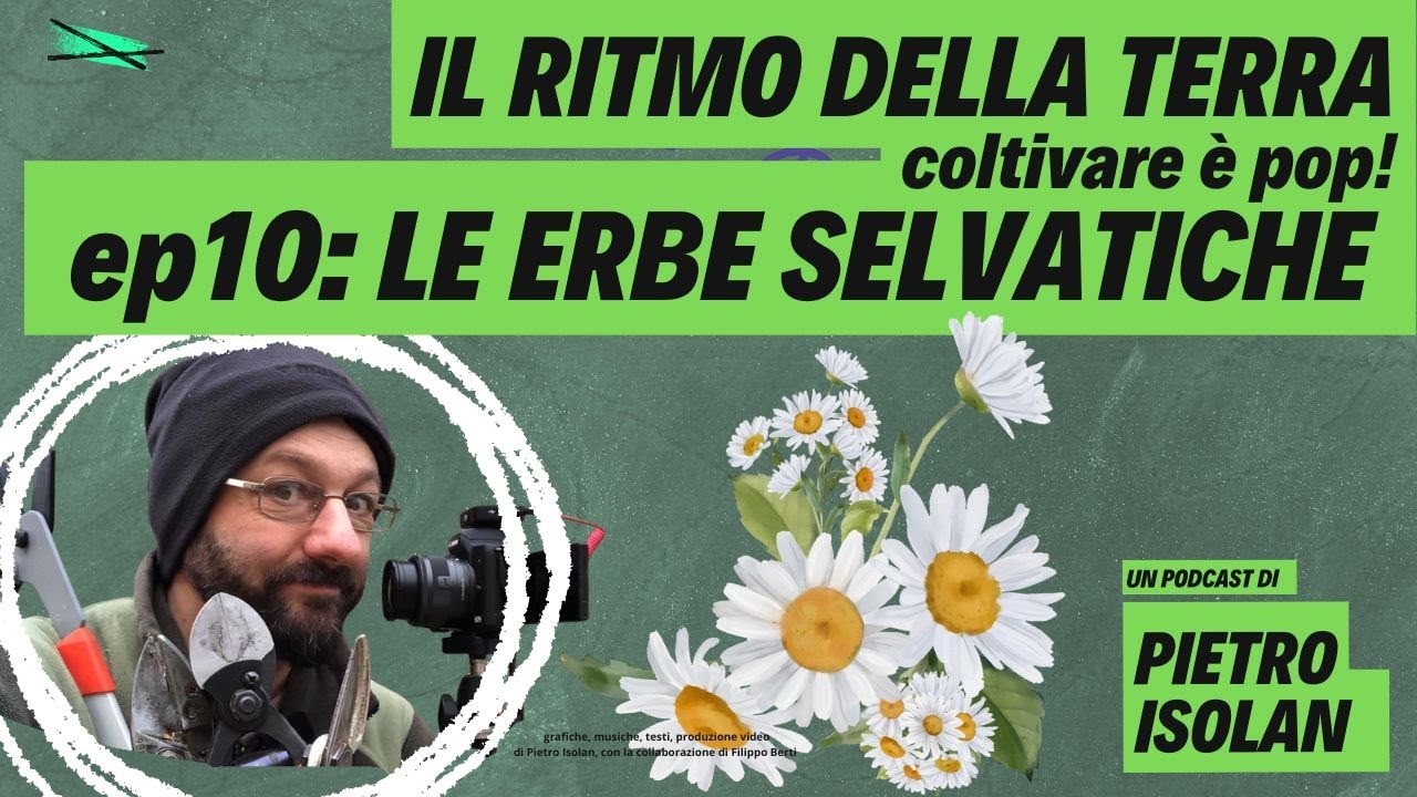 ERBE SELVATICHE - il ritmo della terra - coltivare è pop- ep 10