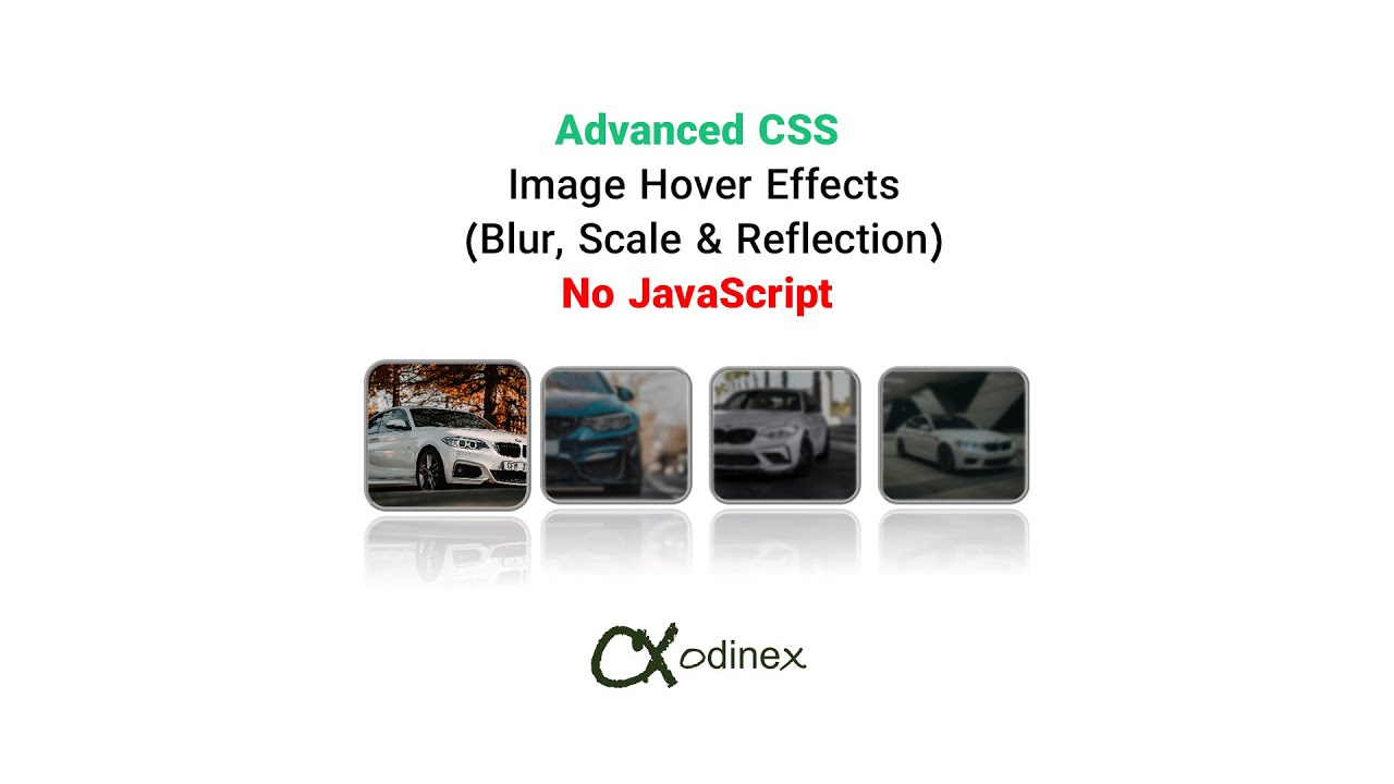 Advanced CSS Image Hover Effects (Blur, Scale & Reflection) | No JavaScript