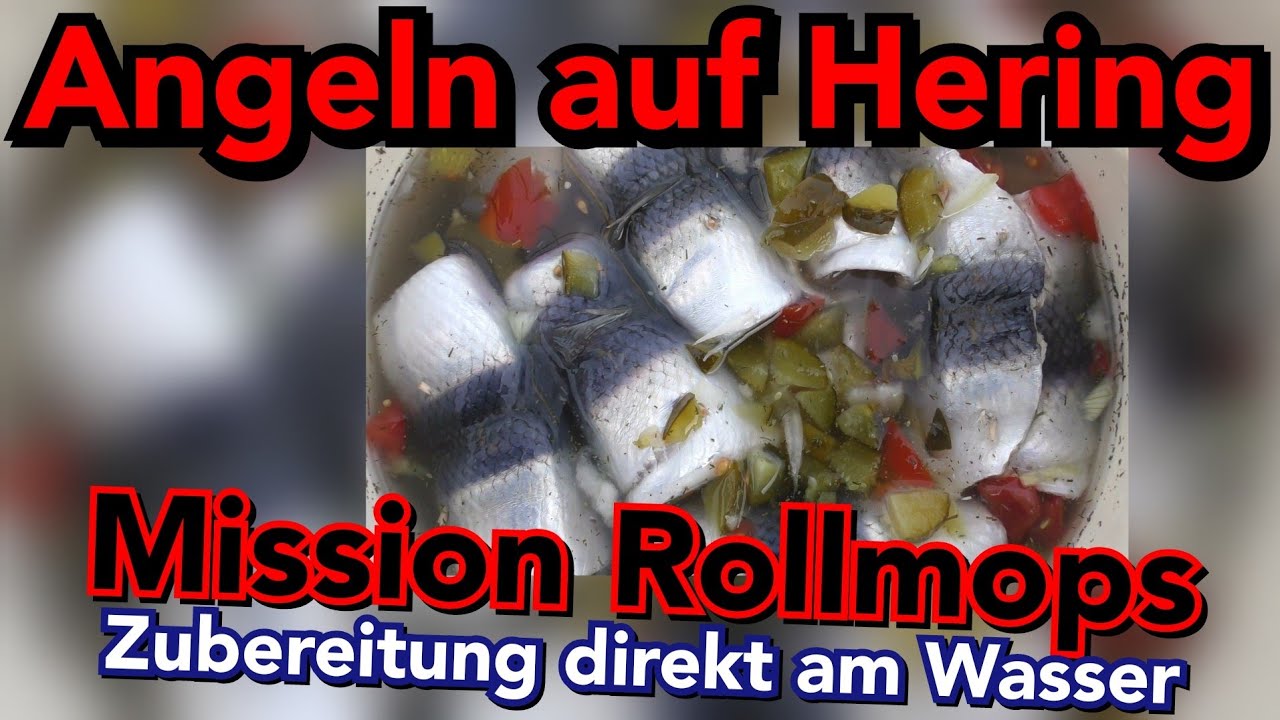 Angeln auf Hering und dann direkt am Wasser ROLLMOPS machen- ANGLERSCHWATZ - KANALBESCHREIBUNG LESEN