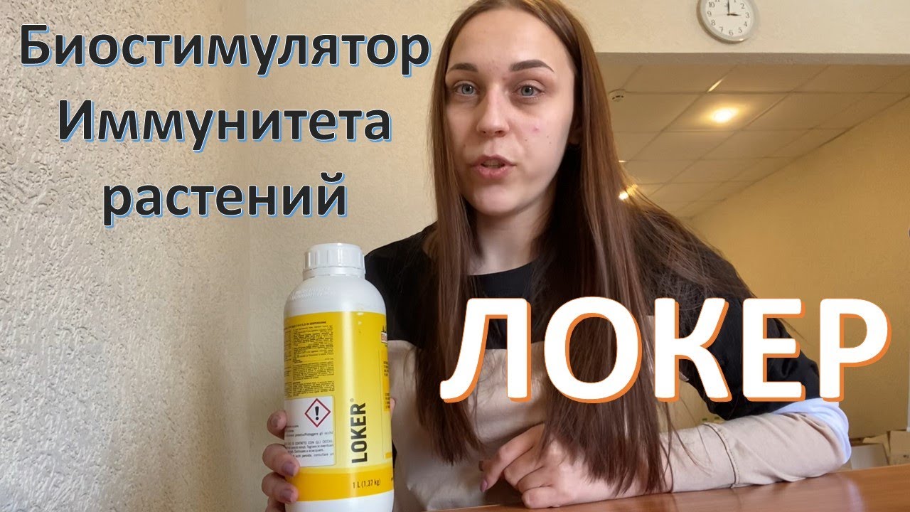 Локер (LOKER) - иммунопротектор для растений от компании Biolchim (Италия)