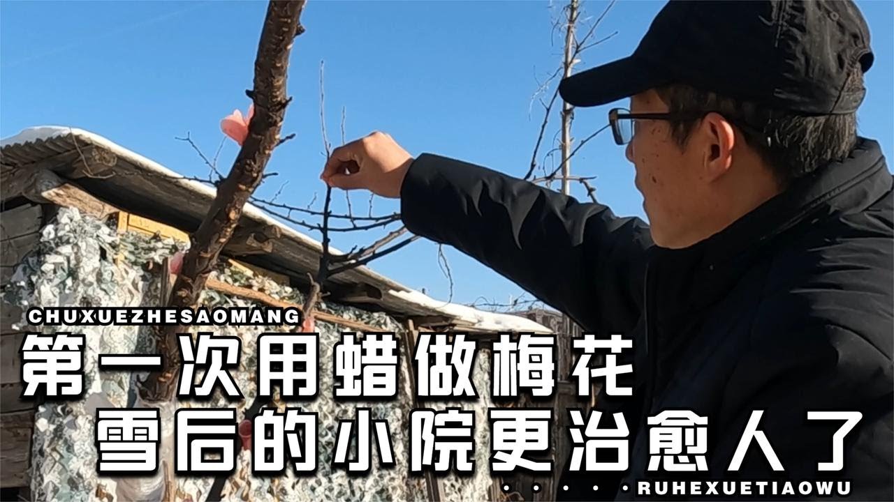 听说过用蜡做梅花吗？三根手指花了2个多小时，白雪红花很治愈人