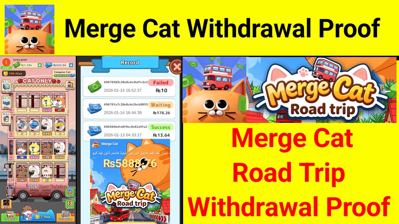 Merge Cat Road Trip game Withdrawal Real or Fake | Merge Cats New Legit Earning App 2026 Review
