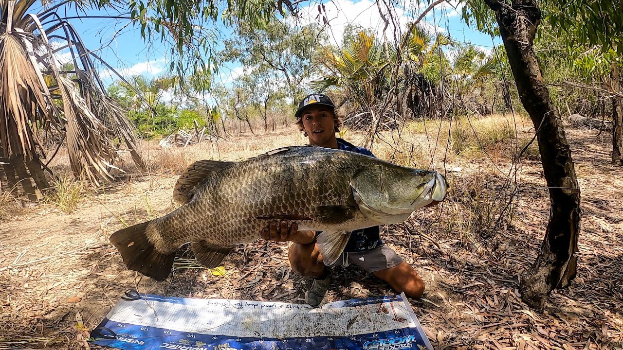 BARRAMUNDI FISHING AUSTRALIA FAR NORTH QLD COMPETITION