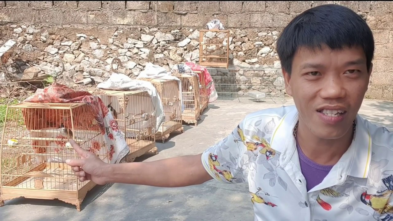 V&Agrave;O LỬA CHO CHIM CH&Agrave;O M&Agrave;O bằng &aacute;nh nắng ĐƠN GIẢN /HIỆU QUẢ