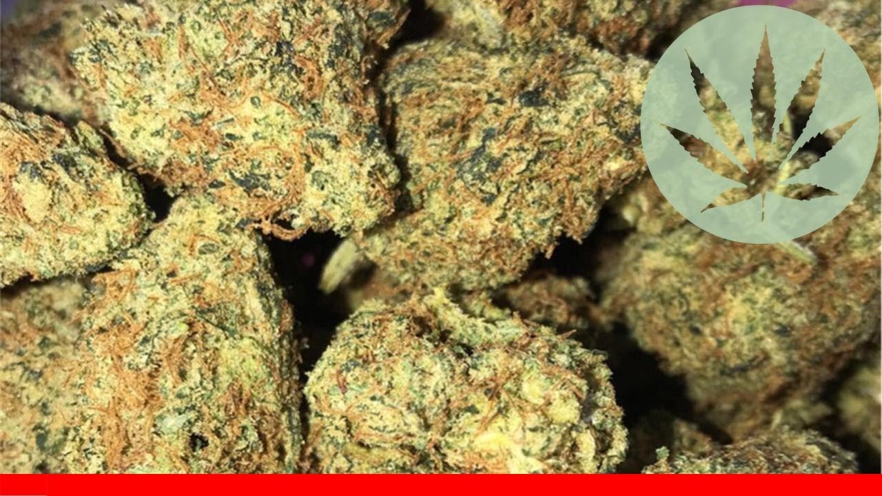 Chem 4 - All About This Strain