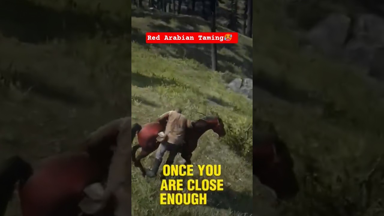 Arthur Taming RED CHESTNUTARABIAN HORSE in RDR2 🥵