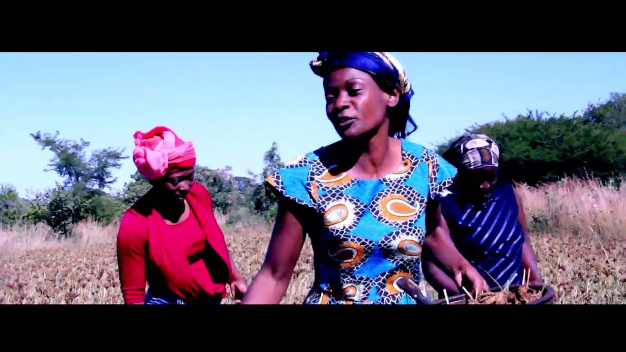 Daisy F Mukariri - Regai Zvikurirane