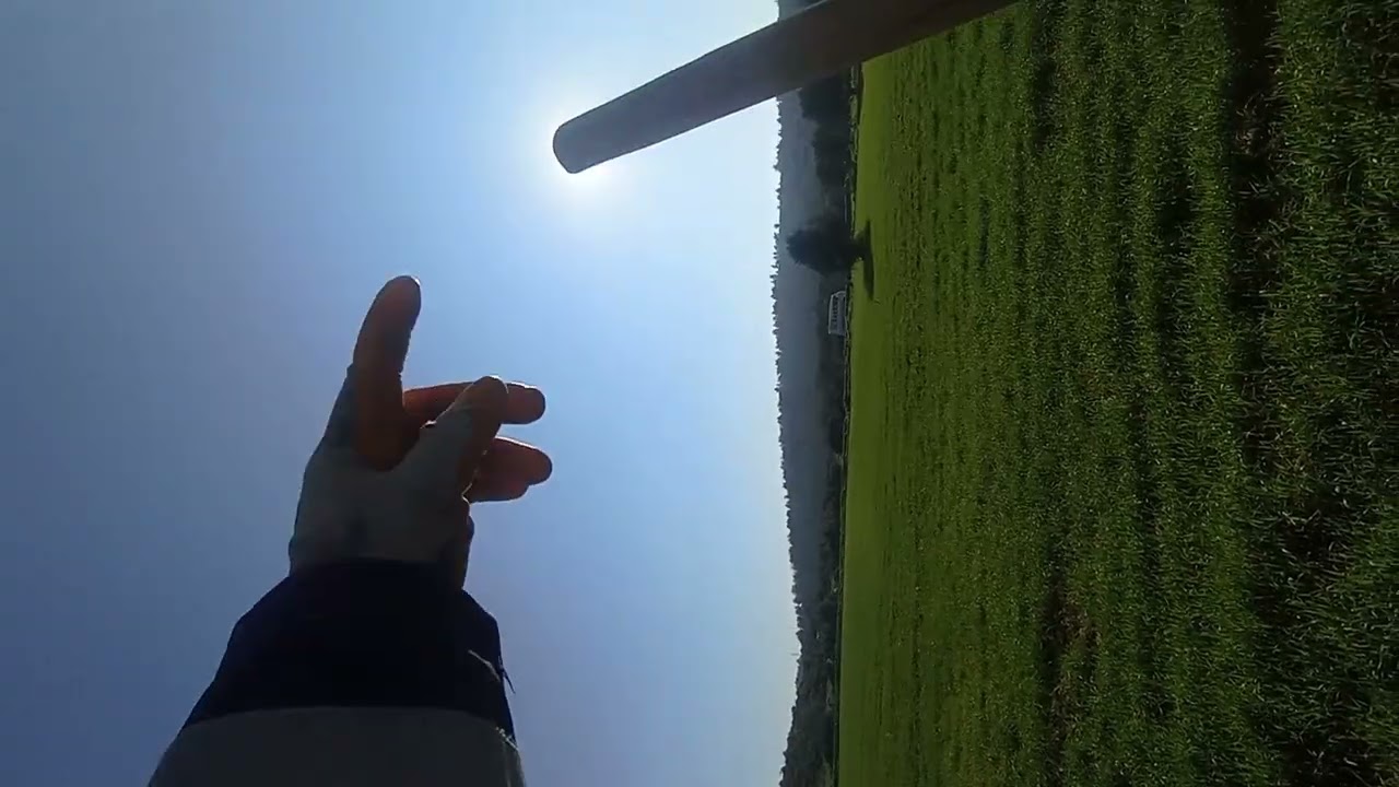 VLOG!! /DALLARI BUDANAN ZEYTİNLİĞE TIRMIK ÇEKİMİ