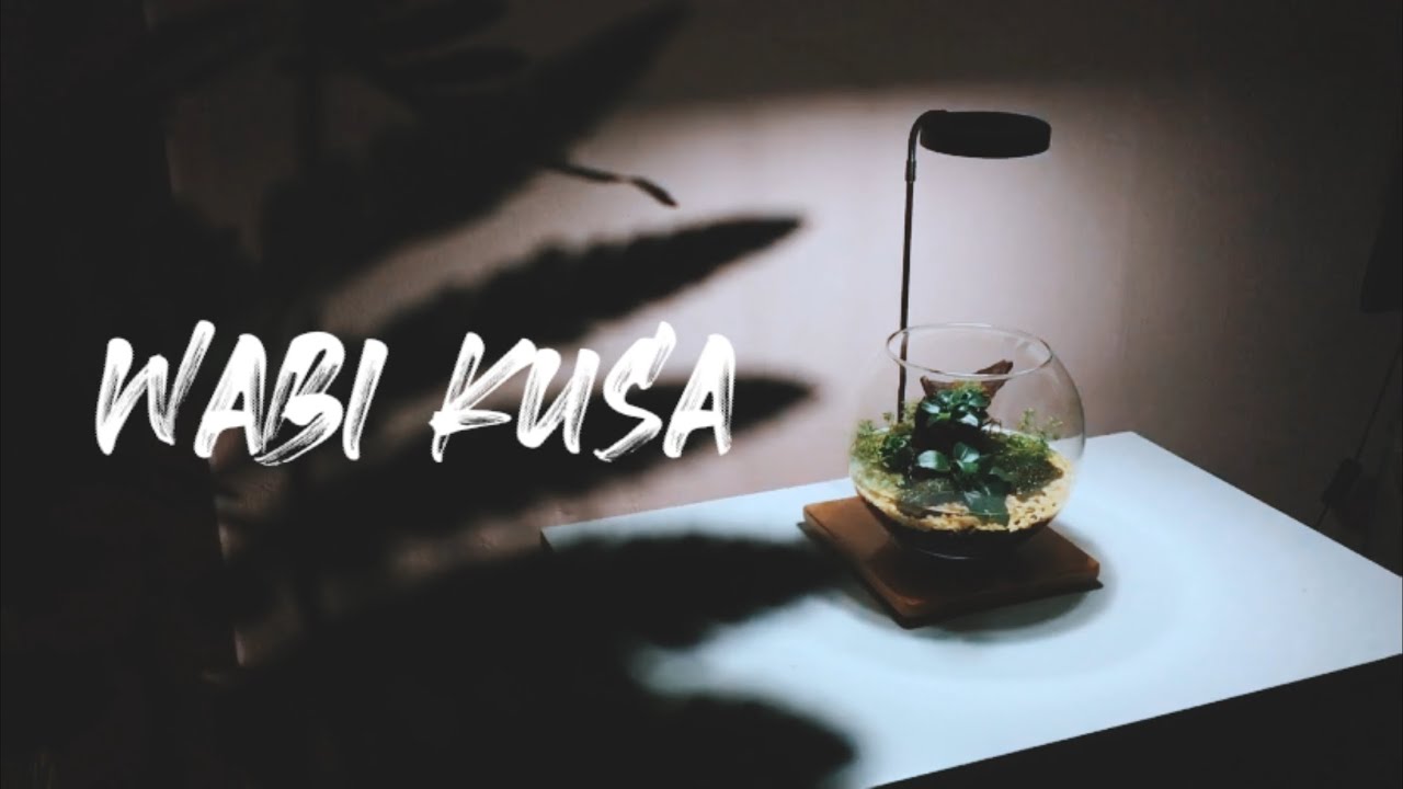 WABI KUSA : a step by step tutorial