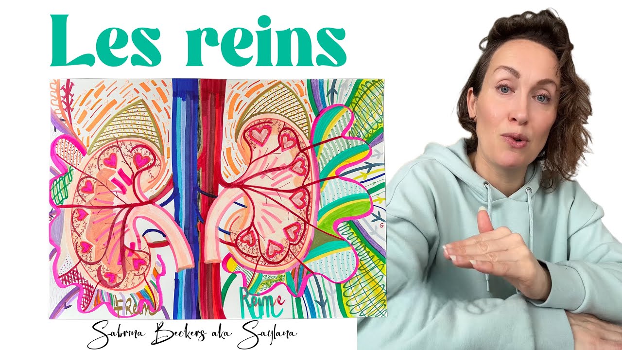 LES REINS : LECTURE &Eacute;NERG&Eacute;TIQUE