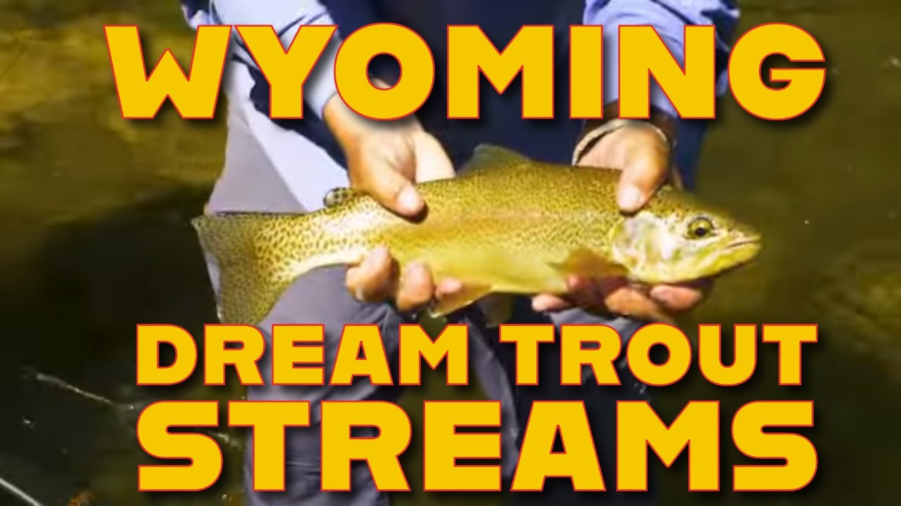 Dream Trout Streams: Exploring Wyoming's Bighorn Region