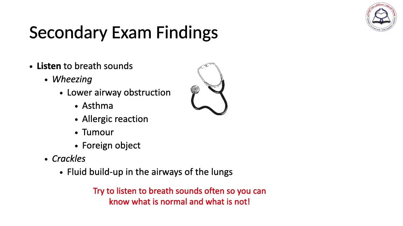 5 Secondary Survey bec breathing: E_A