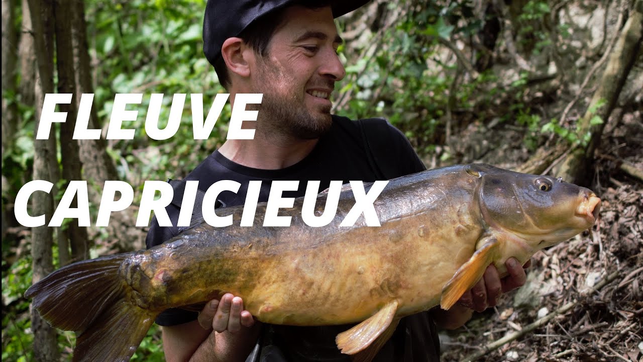 Pêche de la carpe en Seine à résultats variables. Carpfishing