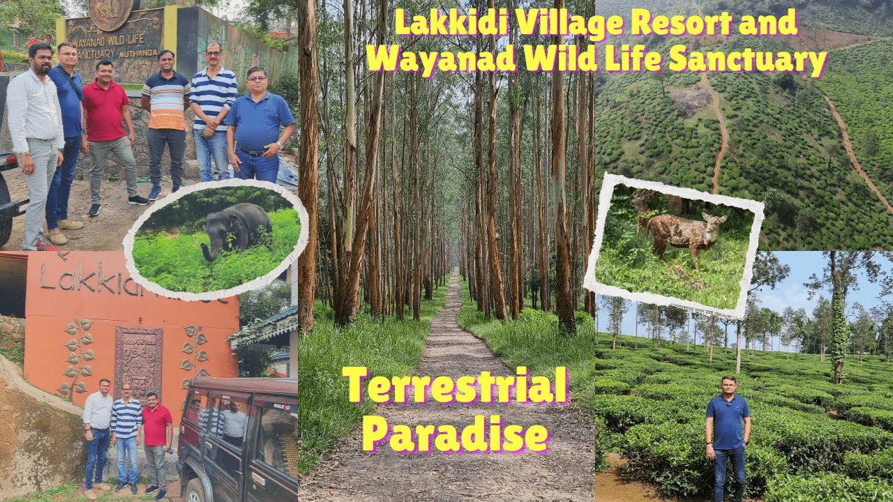 Ultimate Escape to Paradise: Lakkidi Village Resort & Wayanad Wildlife Sanctuary Adventure in Kerala
