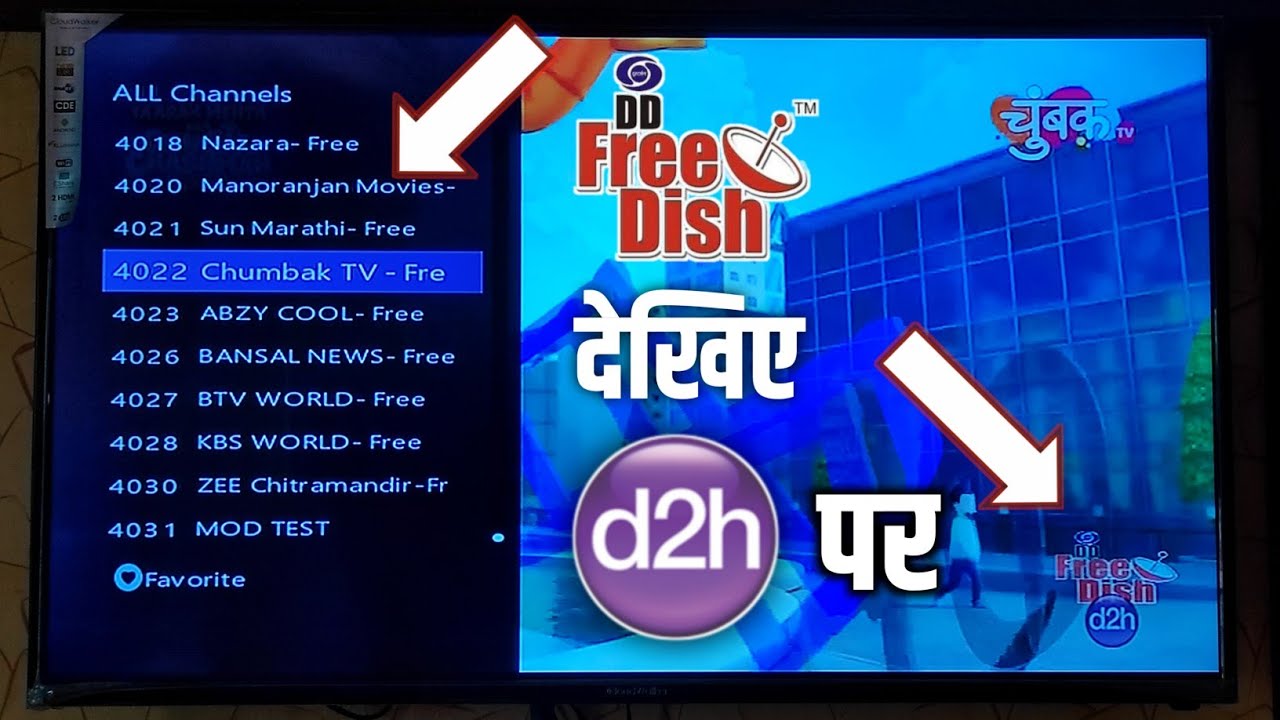 How to watch DD Free Dish Channels on Videocon d2h Set Top Box 🔥| Journalism Guide 2