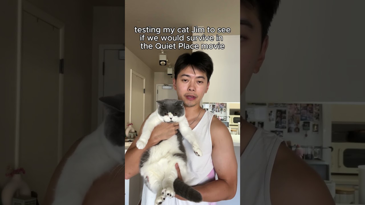 testing if my cat would survive in A Quiet Place #shorts #cats