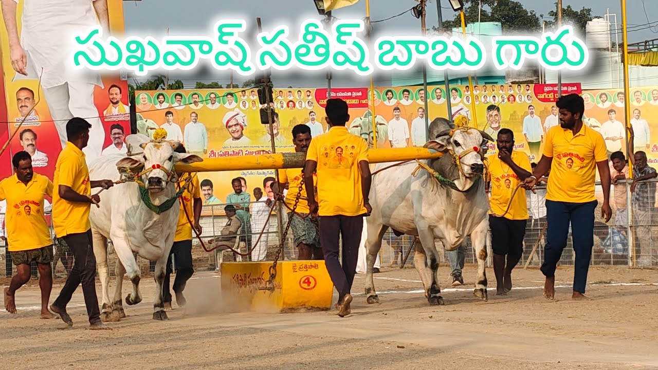 చిలకలూరిపేట గ్రామం న్యూ కేటగిరి విభాగం 1వ జత శుక్ర సతీష్ బాబు గారు 3120