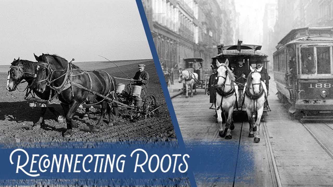 A Timeline of the History and Progress of Horses in America.