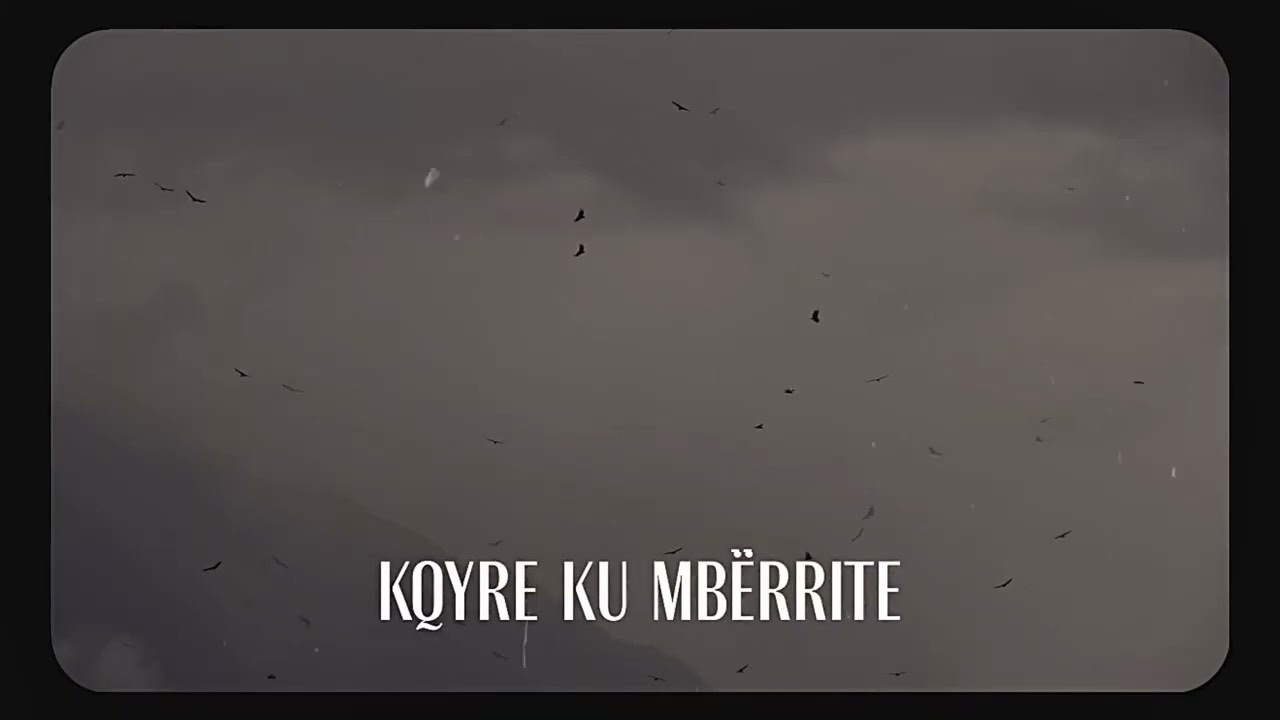 LE0 - Shqiptar [Official Lyrics Video]