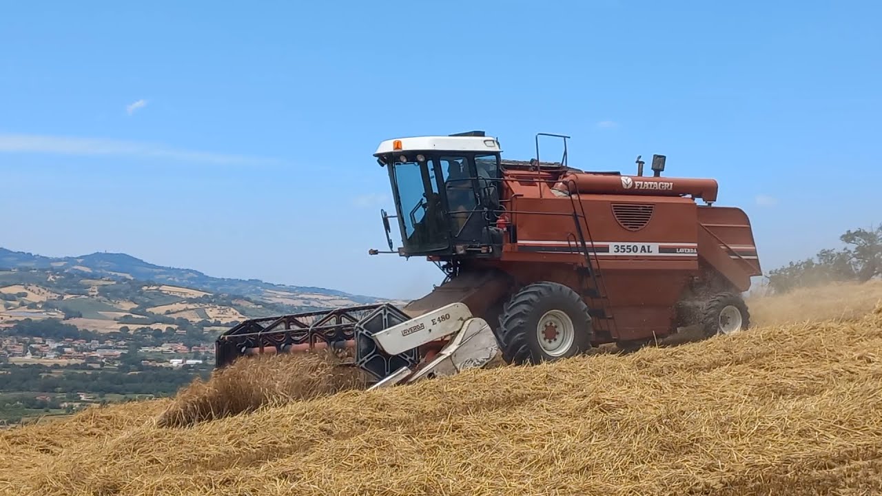 Trebbiatura Fiatagri laverda 3550 al