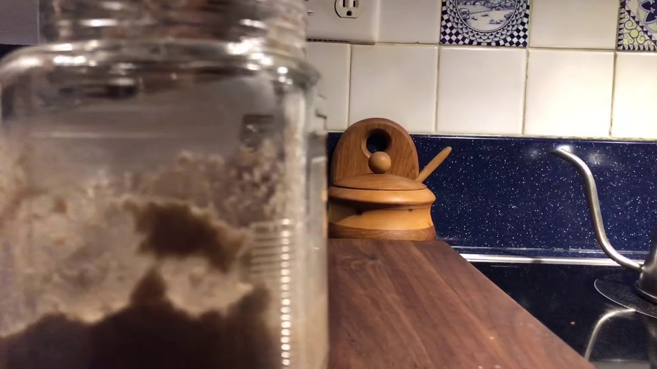 Sour Dough Rye Starter (Making Lithuanian Black Bread)
