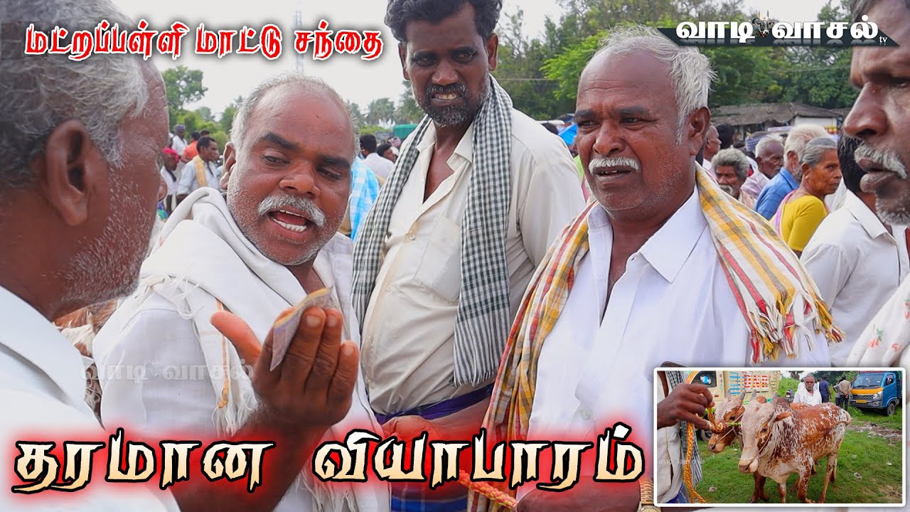 South India's Famous Matrapalli Cow Market | Matrapalli Cow market Located in Tirupathur  District
