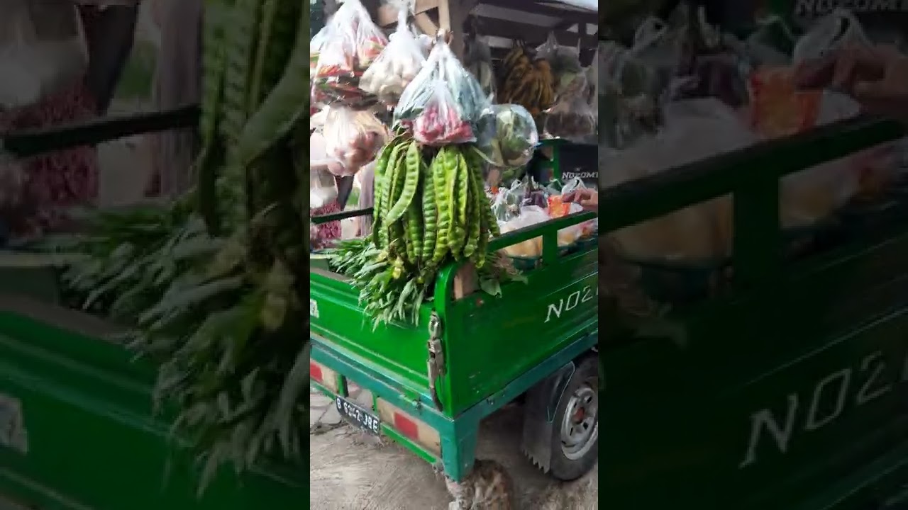belajar usaha sayuran keliling menggunakan motor roda 3...