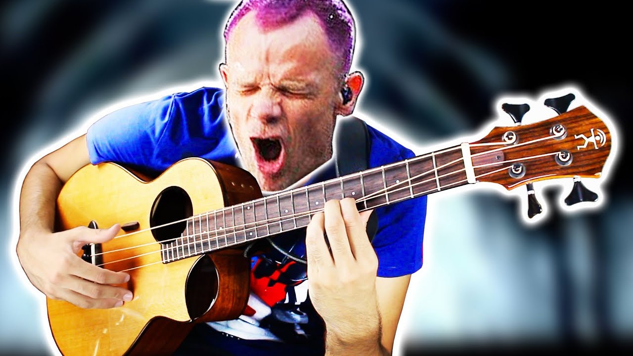 BASS The Way - Red Hot Chili Peppers