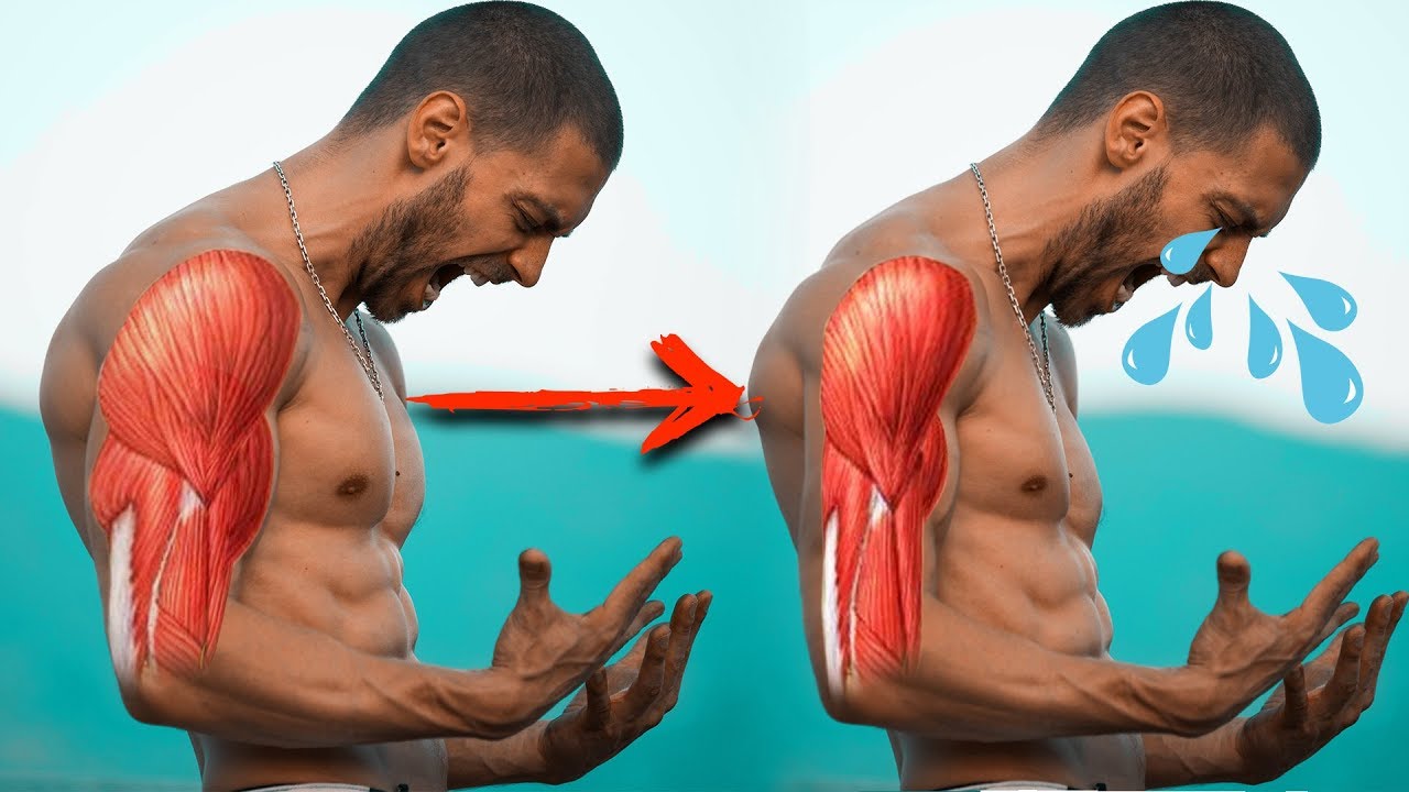 Asi Funciona el CATABOLISMO Muscular &iquest;Como Dejar de Catabolizar?