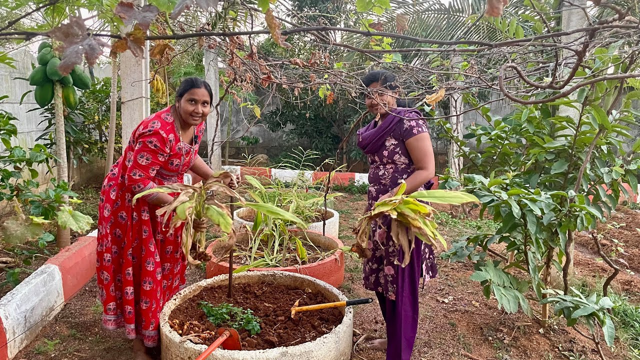 Life at farmhouse | ఉదయం నుండి రాత్రి వరకు మా రొటీన్  పనులు | Telugu vlog Farmhouse routine works 🌾