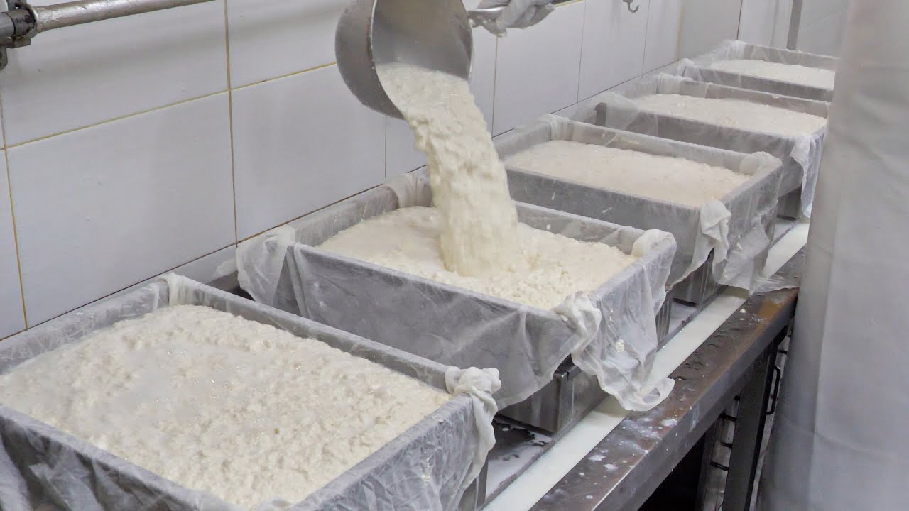 온라인 주문 폭주!! 천연재료로 만드는 연두부, 손두부 / tofu made with natural ingredients / korean street food