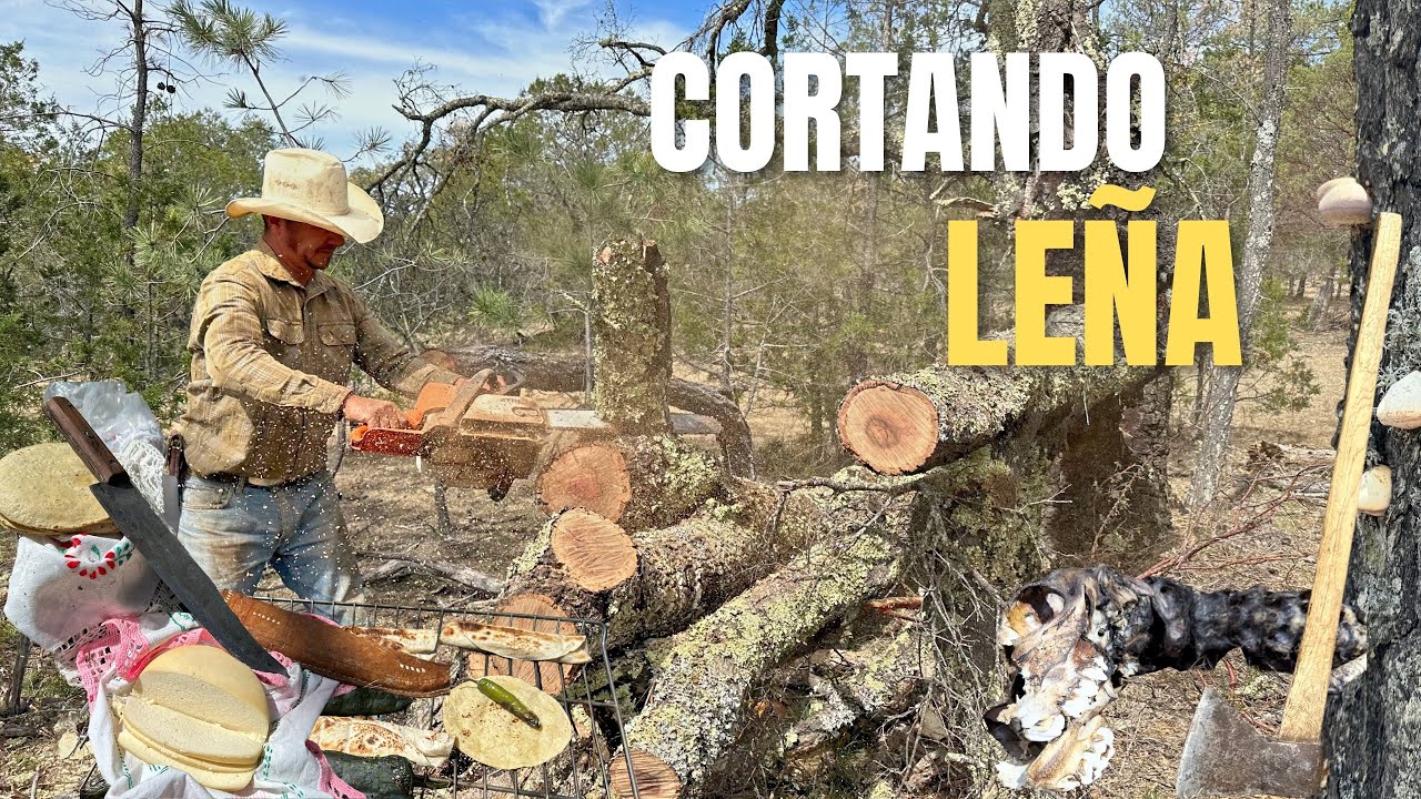 CORTANDO LEÑA EN LA SIERRA NO CREERÁN LO QUE ENCONTRÉ 🪵