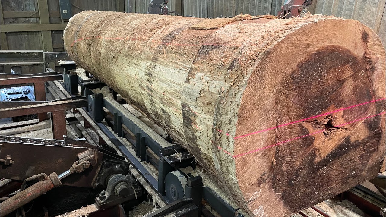 Satisfying Saw-Mill Tune of a 29 Inch Poplar Log! #85