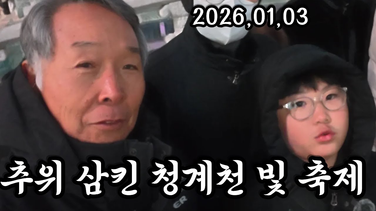서울 빛초롱 축제  (청계천따라 펼쳐전 멋진 조형물들)
