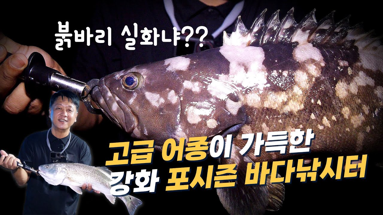 고급 어종이 가득한 강화 포시즌 바다낚시터!!
