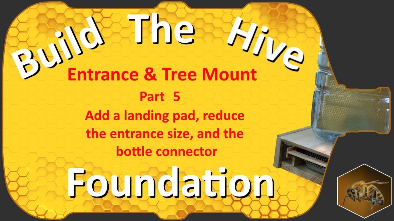 Building the Foundation | Part 5 | Bottle Beehive Entrance & Tree Mount