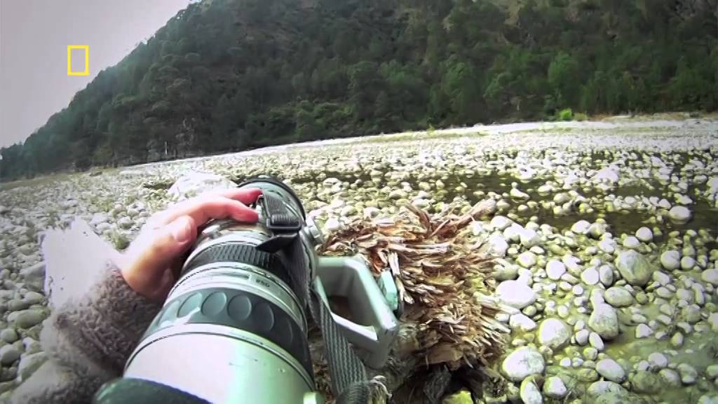 Travel Bhutan - World Nomads Photography Scholarship