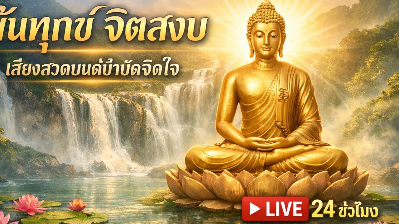 บทสวดมนต์กล่อมนิทรา กำลังถ่ายทอดสด!