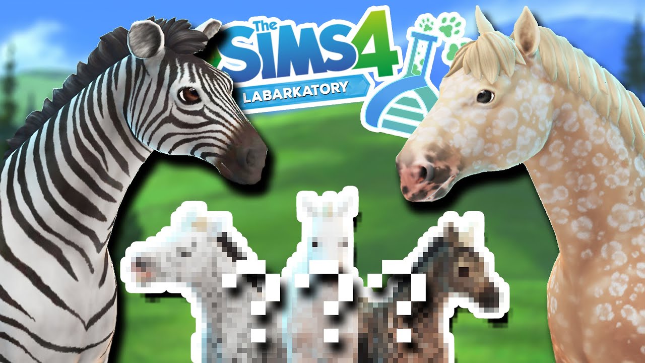 ПРЕКРАСНОЕ стадо жеребят-помесей зебры и аппалузы!! 🦓💕🧬🐴