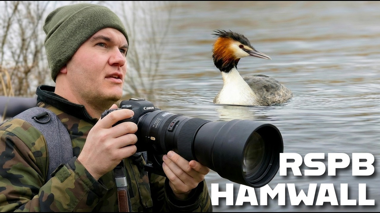 The Most ROMANTIC Bird in the UK?