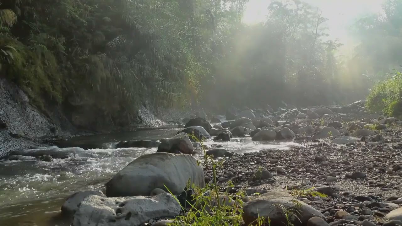 SLEEPING MUSIC | HEALING MUSIC | CALM MUSIC TUNEONE