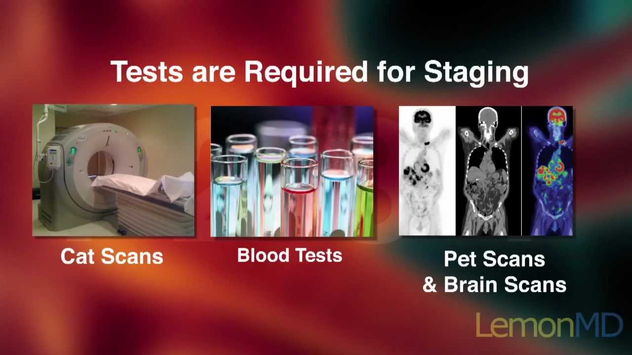 Cancer Diagnosis Now What?