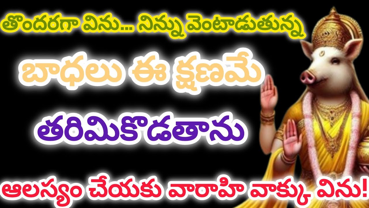 తొందరగా విను... నిన్ను వెంటాడుతున్నబాధలు ఈ క్షణమే తరిమికొడతానుఆలస్యం చేయకు వారాహి వాక్కు విను!