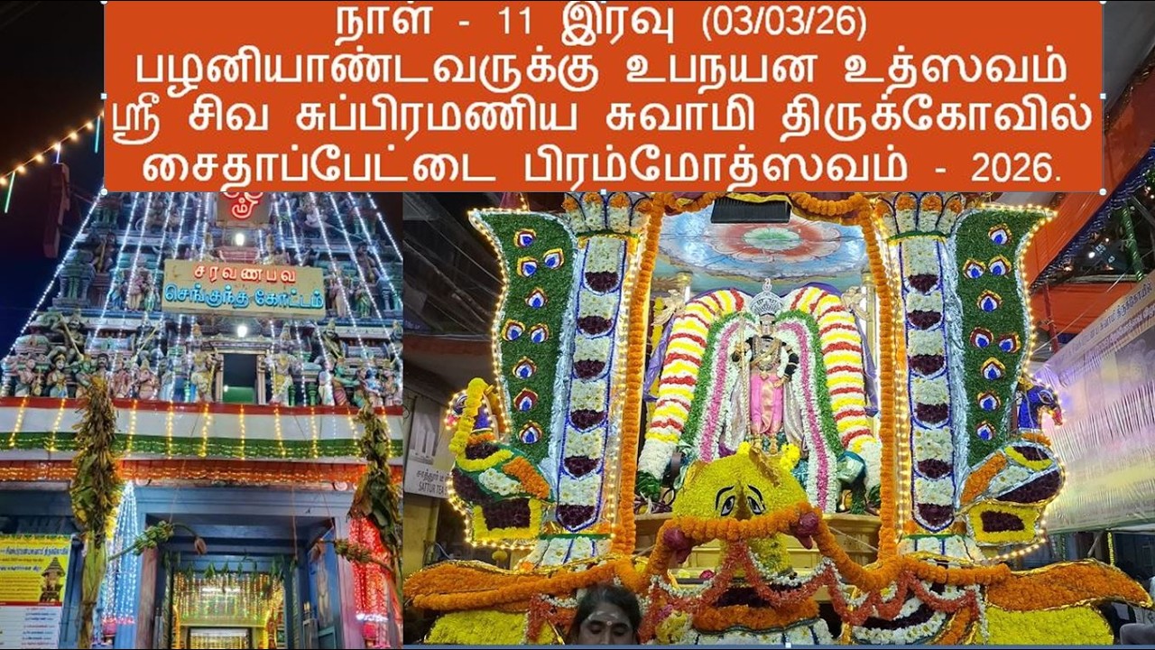 நாள் - 11 இரவு (03/03/26) பழனியாண்டவருக்கு உபநயன உத்சவம் ஸ்ரீ சிவ சுப்பிரமணிய சுவாமி திருக்கோவில்.