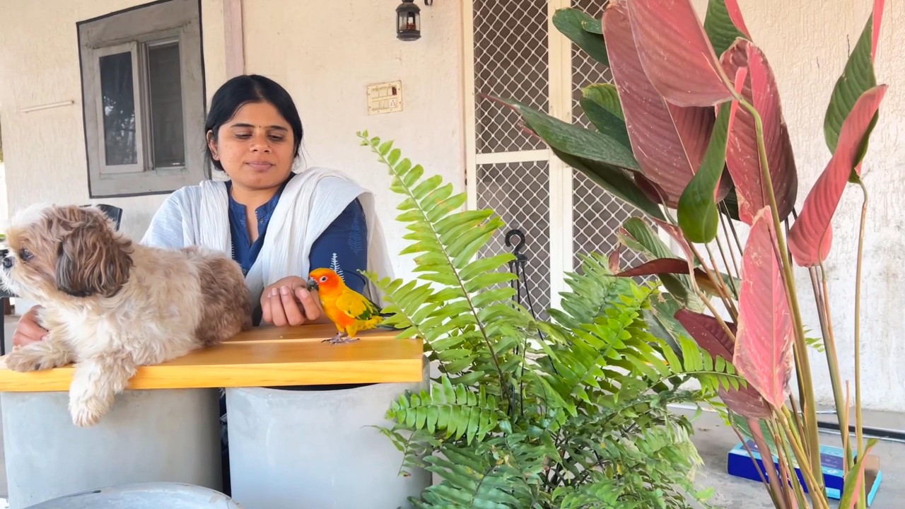 ఒక్కోసారి డిప్రెషన్ కూడా మంచిదే😊|వదిలించుకోవాలంటే ఎక్కువ పట్టించుకోకపోతే తక్కువ అవుతుంది😅