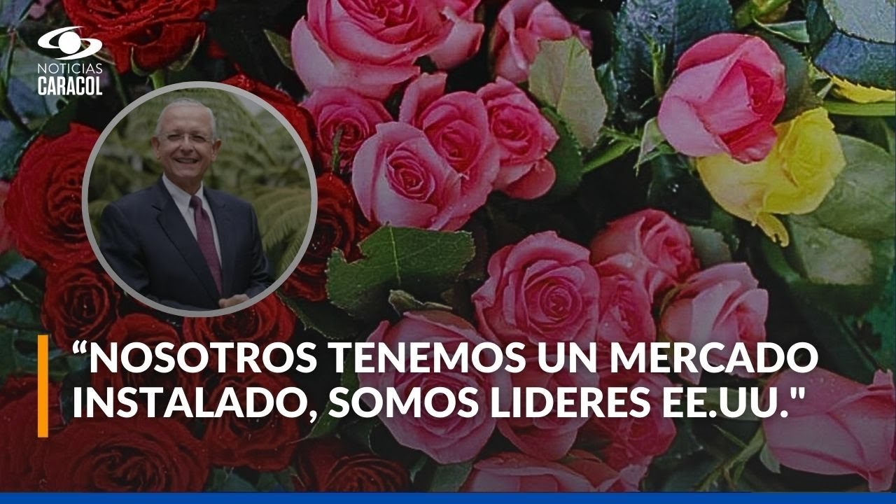 Guerra arancelaria de Donald Trump: ¿cómo puede afectar a las exportaciones de flores colombianas?