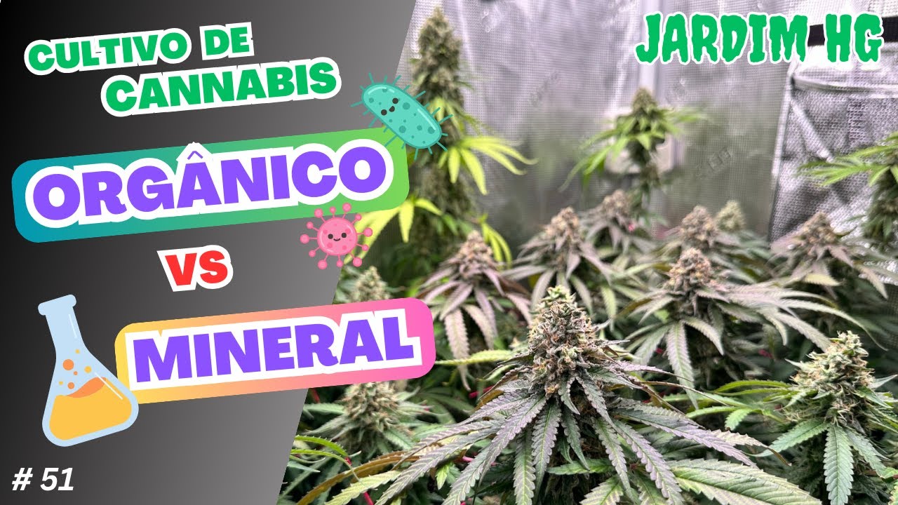 Cultivo Cannabis - ORG&Acirc;NICO  vs  MINERAL (inorg&acirc;nico, sint&eacute;tico)