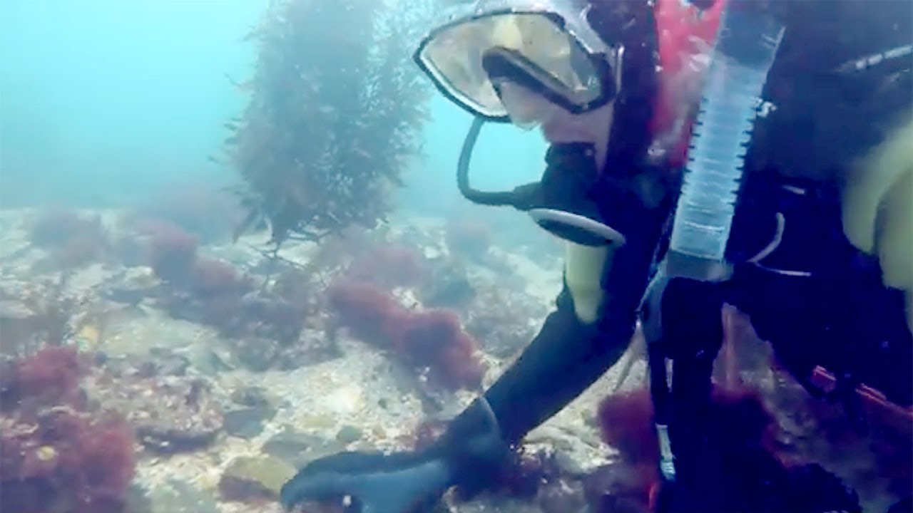 Introduction of Applied Marine Biology Course (Future Global Leadership Program)